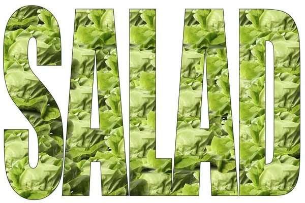 Ordet Sallad Grönkål Bakgrund — Stockfoto