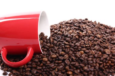 Fincan yakın kahve tohumları