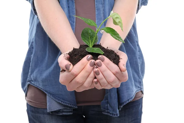 Woman Holding Green Plant Earth — Stock Photo, Image