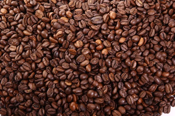 Coffee seeds close up background