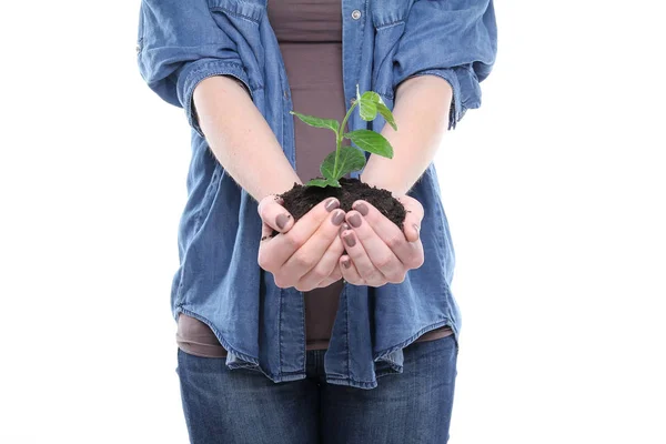 Woman Holding Green Plant Earth — Stock Photo, Image