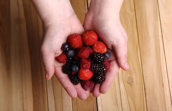 Différentes Baies Sucrées Dans Les Mains — Photo