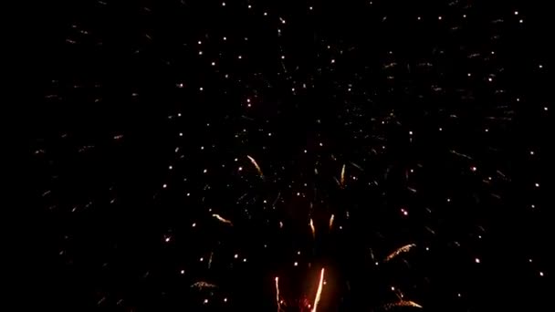 Kleurrijke Vuurwerk Met Routes Donkere Hemel — Stockvideo