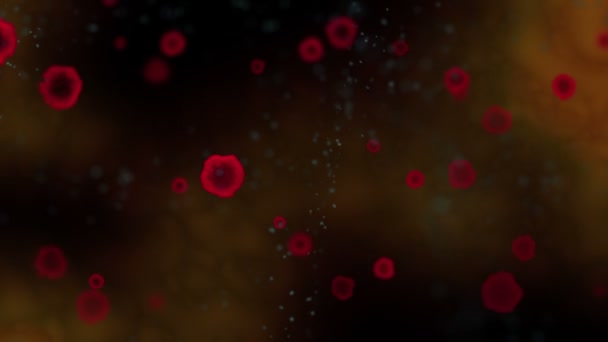 Κυττάρων Του Ιού Μέσα Στο Σώμα Κινούμενα Σχέδια — Αρχείο Βίντεο