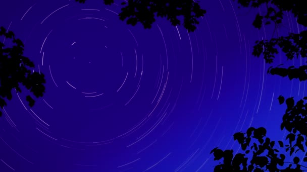 在夜晚的星轨 — 图库视频影像