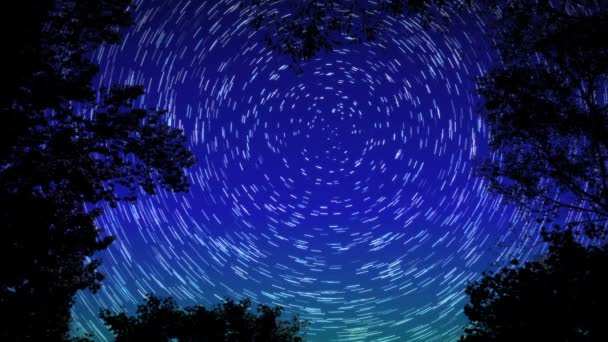 Star Trails Night — Stock Video