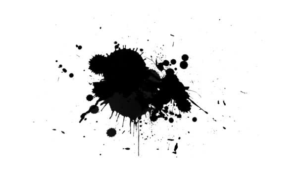 Schwarze Tinte Tropft Auf Weißem Hintergrund — Stockvideo