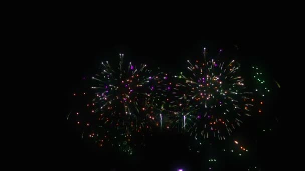 Kleurrijke Vuurwerk Boven Nachtelijke Hemel — Stockvideo