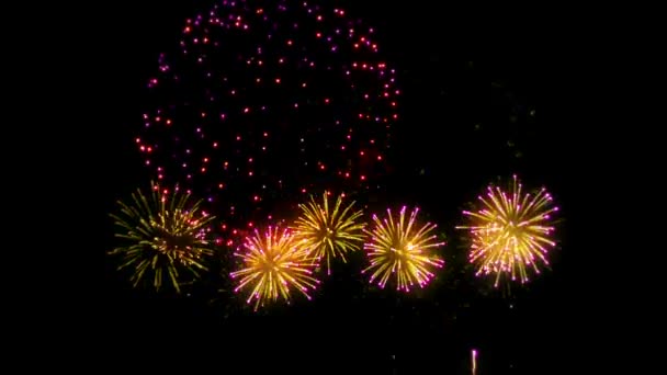 Feux d'artifice colorés au-dessus du ciel nocturne 