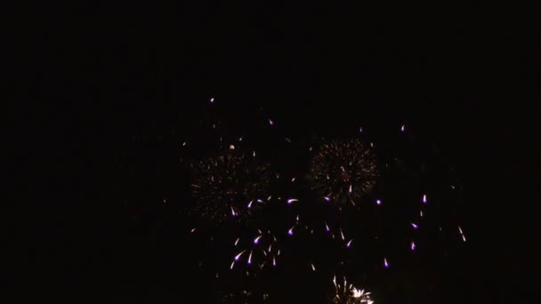 Coloridos Fuegos Artificiales Sobre Cielo Nocturno — Vídeos de Stock