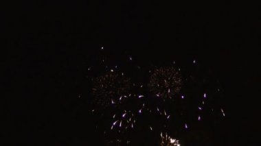 Siyah arkaplanda renkli havai fişekler