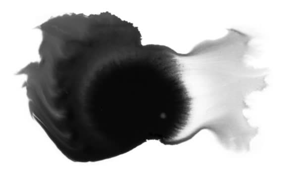 黑色墨水滴在湿纸上 — 图库视频影像