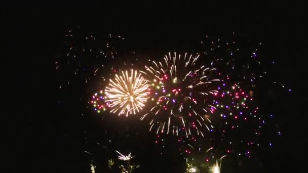 Buntes Feuerwerk Auf Schwarzem Hintergrund — Stockvideo
