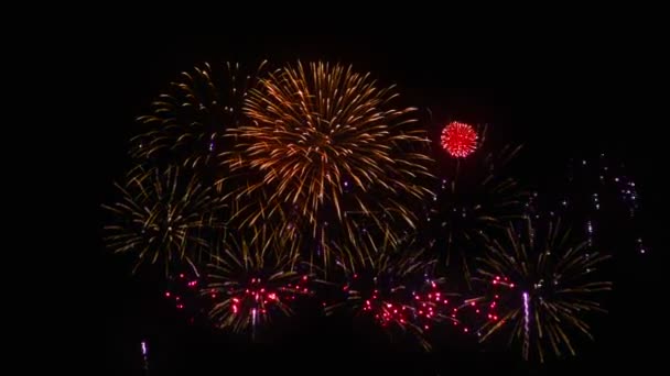 Feu Artifice Coloré Sur Fond Noir — Video