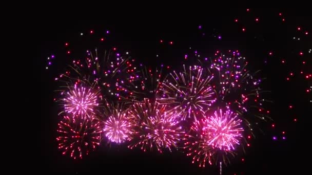 Fuochi Artificio Colorati Sfondo Nero — Video Stock