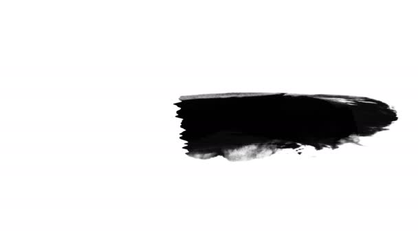 페인트 브러시 스트로크 애니메이션 — 비디오