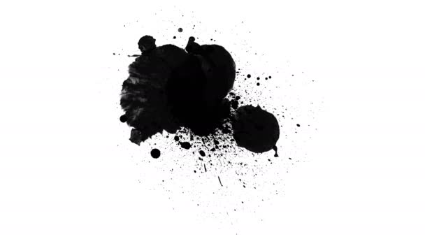 Black Inks Drops White Background — Stock Video