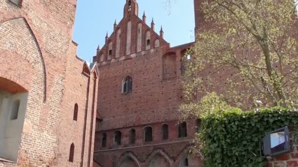 Gothic Castle Teutonic Knights Marienwerder Kwidzyn — Stock Video