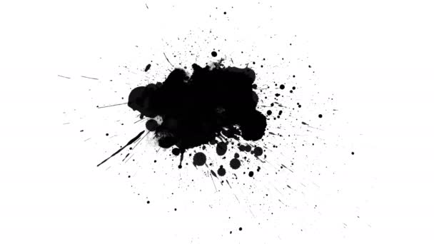 Des Gouttes Encre Noires Sur Fond Blanc — Video