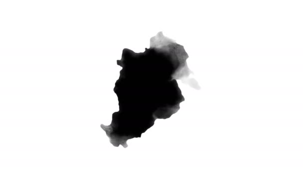 黑色墨水滴在白色背景上 — 图库视频影像