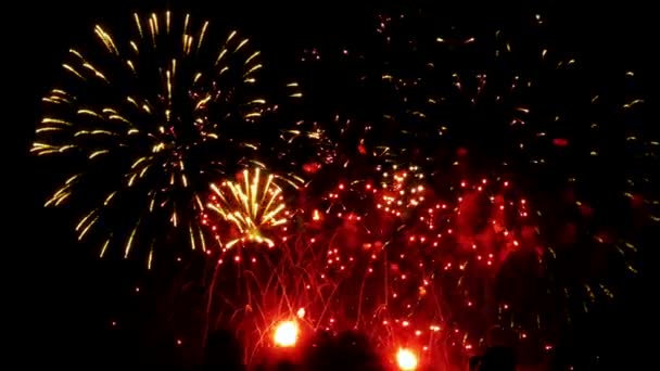 Színes Tűzijáték Fekete Háttér — Stock videók
