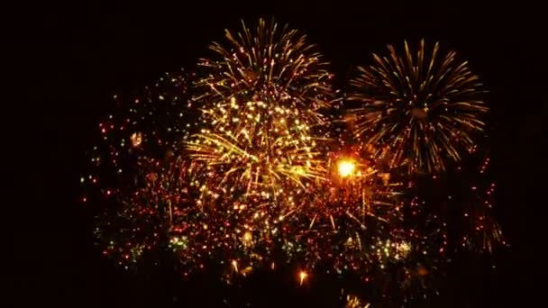 Fuegos Artificiales Coloridos Sobre Fondo Negro — Vídeo de stock