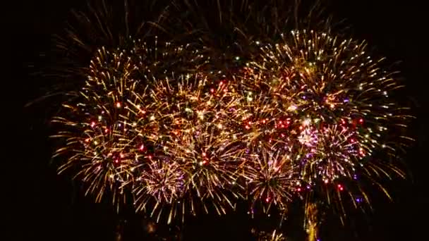 Fuegos Artificiales Coloridos Sobre Fondo Negro — Vídeo de stock