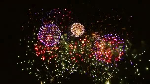 Fuegos Artificiales Coloridos Sobre Fondo Negro — Vídeo de stock