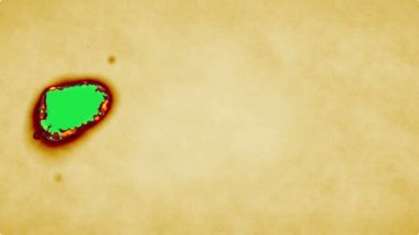 Kağıt yanan, izole edilmiş bir yangındı.