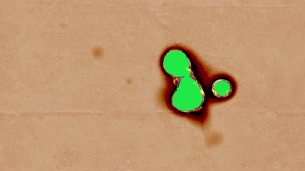 Brûlure de papier en flammes, avec mat