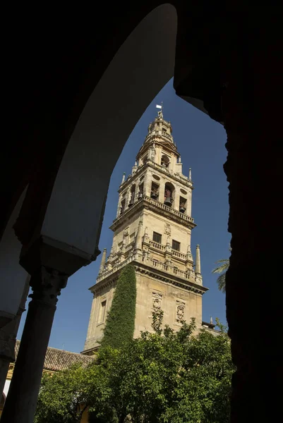 Campanario Mezquita Córdoba Través Los Arcos Del Patio Los Naranjos — Foto de Stock