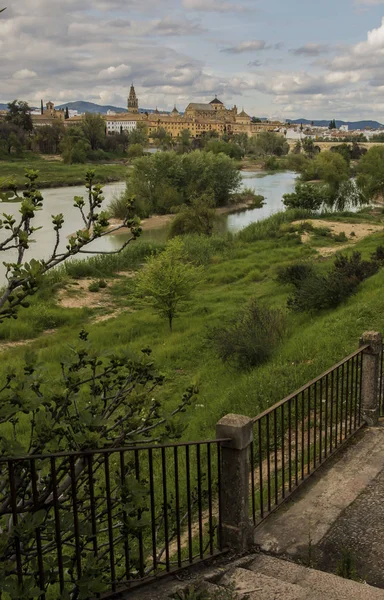 Guadalquivir Fiume Con Moschea Sullo Sfondo Verticale — Foto Stock