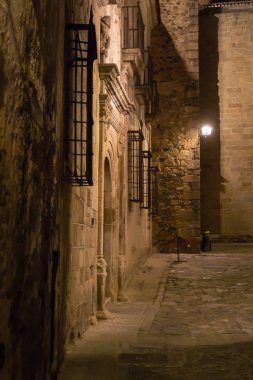 Caceres şehir tarihi merkezinde sokak maymun