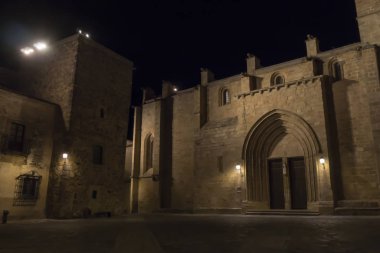 Caceres şehir tarihi merkezinde sokak maymun