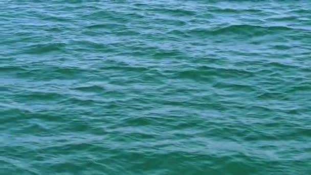 Vatten Och Vågor Havet Konsistens Rörelse — Stockvideo