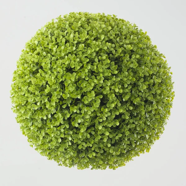 Sfera vegetale verde su bianco — Foto Stock