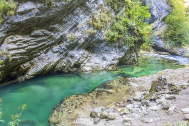 Vintgar gorge, Slovenya, güzel çevre yer 