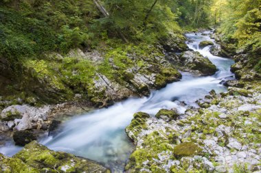 Vintgar gorge, Slovenya, güzel çevre yer 