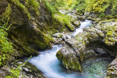 Vintgar gorge, Slovenya, güzel çevre yer 