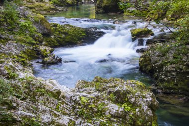 Vintgar gorge, Slovenya, güzel çevre yer 