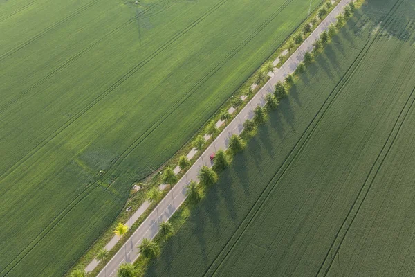 Luchtfoto Van Dorp Weg Met Groene Windsingels — Stockfoto