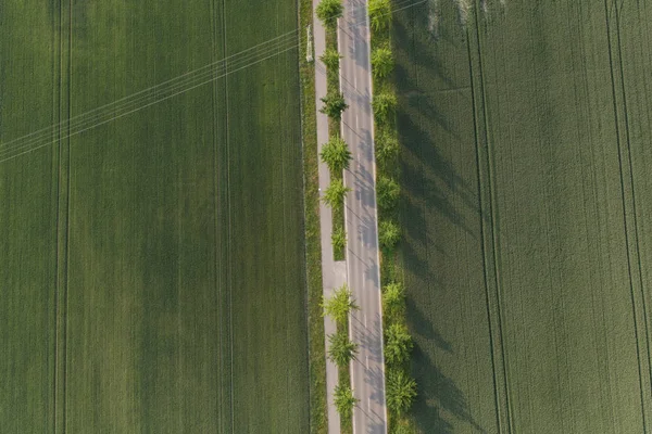 Εναέρια Άποψη Του Δρόμου Χωριού Πράσινο Ανεμοφράχτες — Φωτογραφία Αρχείου