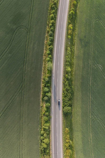 Flygfoto Över Byvägen Med Gröna Vindskydd — Stockfoto