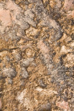 Plaj taş ve kil arka plan