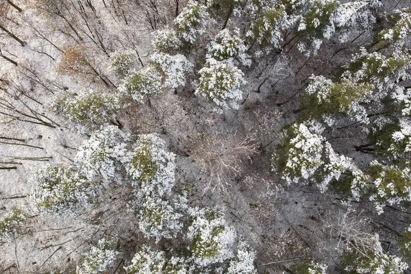 Вид Повітря Гірський Ліс Взимку — стокове фото