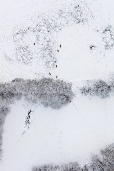 Luftaufnahme Der Dorflandschaft Winter — Stockfoto
