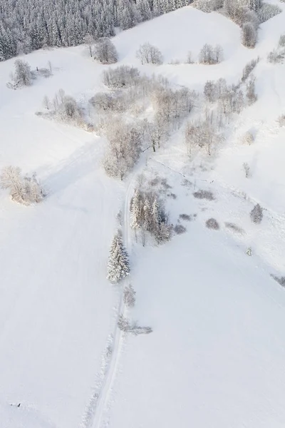 Vue Aérienne Paysage Forêt Montagne Hiver — Photo