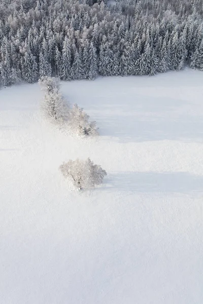 Vista Aérea Paisagem Floresta Montanha Inverno — Fotografia de Stock