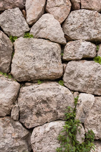 Parete di roccia — Foto Stock