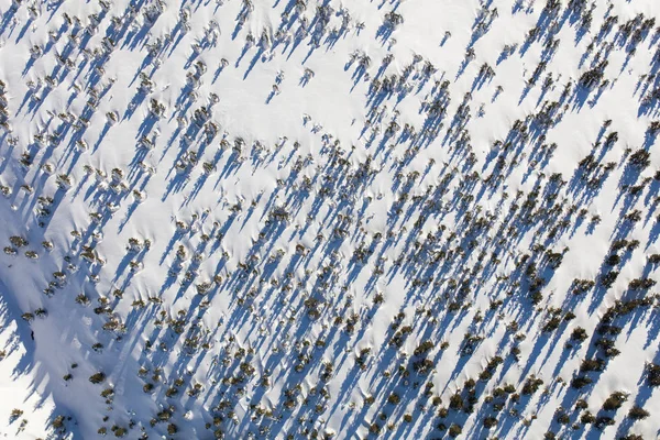 Kış dağ manzara havadan görünümü — Stok fotoğraf
